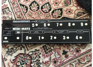 Rocktron Prophesy (82484)