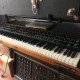 Prophet T8 Prophet T8