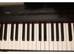 Yamaha P-105 (25809)