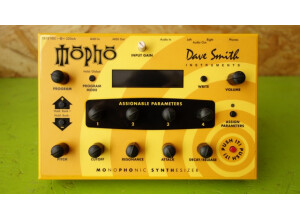 Dave Smith Instruments Mopho (56992)