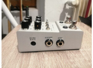 Walrus Audio D1 High-Fidelity Stereo Delay (5367)