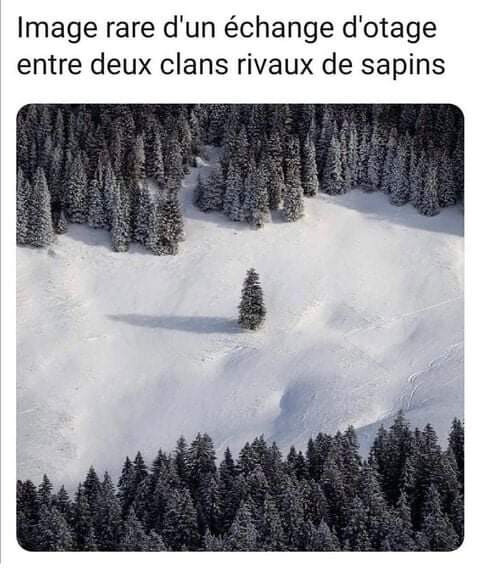 5588297.jpg 5588297.jpg