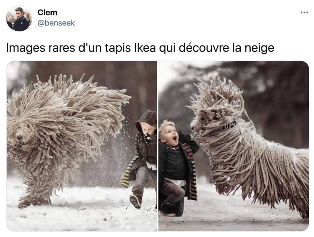 5588300.jpg 5588300.jpg