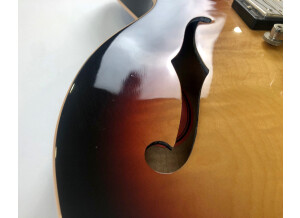 Gibson ES-335 Dot Plain Gloss (23955)