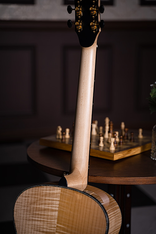 Cort Gold-Passion : Gold-Passion4