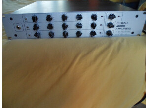Custom Audio Electronics 3 + SE (79695)