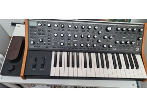 Moog Music SUB 37 (39621)