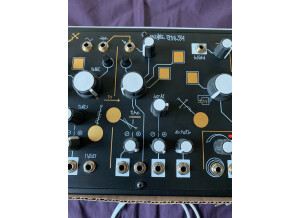 Make Noise Strega (57384)