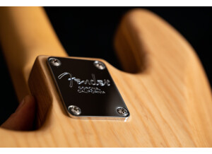 Fender American Professional Jazz Bass (63724)