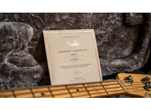 Fender American Professional Jazz Bass (10981)