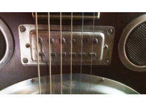 Hofner Guitars Resonator