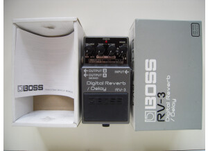 Boss RV-3 Digital Reverb/Delay (50178)