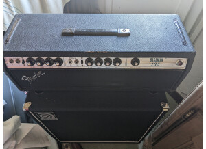 Fender Bassman 135 (Silverface) (4550)