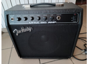 Jim Harley Little Big Amp Bass 20W