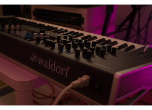 Waldorf Quantum (86317)