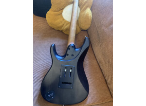 Ibanez EH10 Eric Hansel Signature (45463)