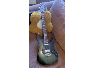 Ibanez EH10 Eric Hansel Signature (16329)