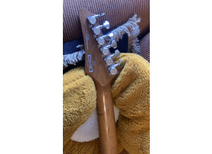 Ibanez EH10 Eric Hansel Signature (61126)