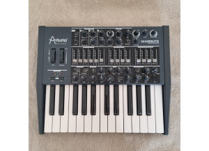Arturia MiniBrute (27312)