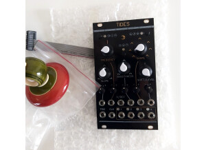 Mutable Instruments Tides 2 (74143)