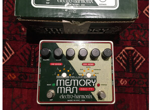 Electro-Harmonix Deluxe Memory Man 550-TT