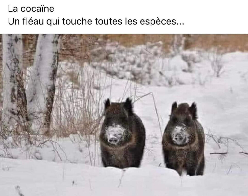 5597556.jpg 5597556.jpg