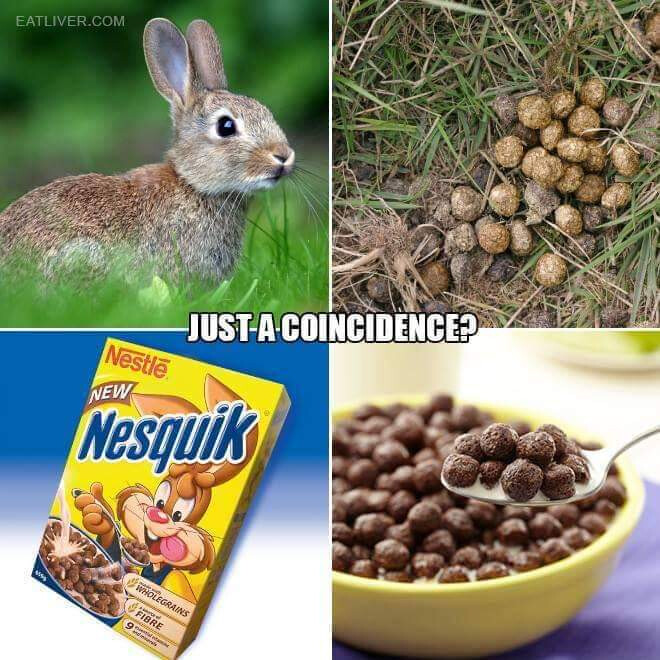 5597561.jpg 5597561.jpg