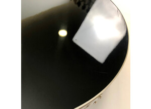 Rickenbacker 360 (86724)