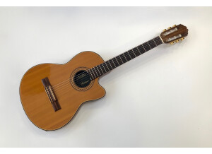 Gibson Chet Atkins CE/CEC (62372)