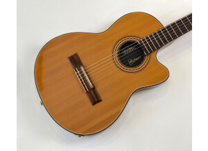 Gibson Chet Atkins CE/CEC (30837)