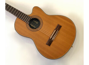 Gibson Chet Atkins CE/CEC (4686)