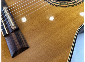 Gibson Chet Atkins CE/CEC (35155)