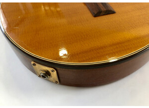 Gibson Chet Atkins CE/CEC (81876)