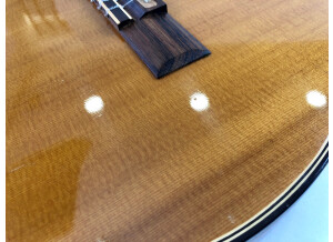 Gibson Chet Atkins CE/CEC (63508)
