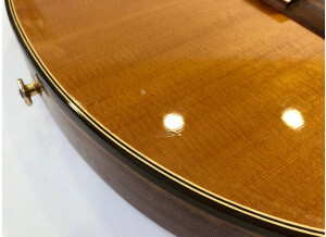 Gibson Chet Atkins CE/CEC (66794)