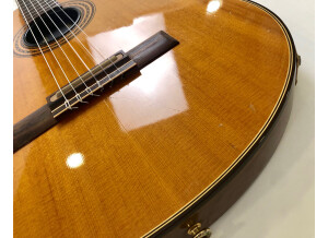 Gibson Chet Atkins CE/CEC (23961)