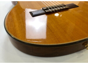Gibson Chet Atkins CE/CEC (78995)