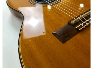 Gibson Chet Atkins CE/CEC (70195)