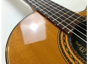 Gibson Chet Atkins CE/CEC (57545)