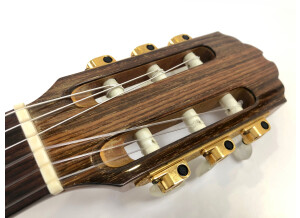Gibson Chet Atkins CE/CEC (88671)