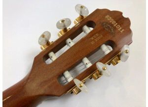 Gibson Chet Atkins CE/CEC (81913)