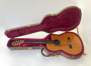 Gibson Chet Atkins CE/CEC (10390)