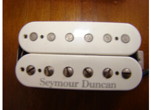Seymour Duncan SHPG-1N Pearly Gates Neck - Black (31779)