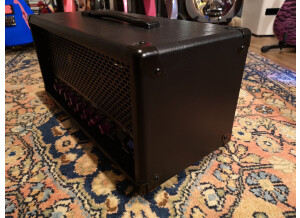 BD Custom Amplification BF/CUSTOM+ (26302)
