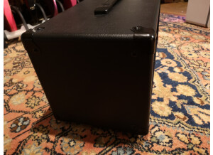 BD Custom Amplification BF/CUSTOM+ (9851)