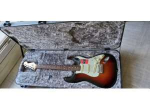 Fender American Professional Stratocaster (92819)
