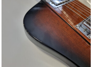 Gibson Firebird V (60437)