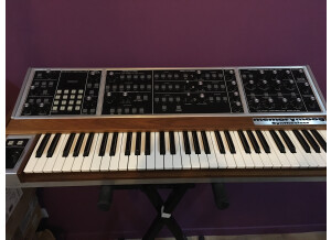 Moog Music MemoryMoog