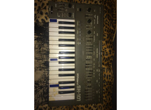Roland SH-101 (21440)