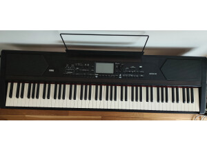 Korg HAVIAN-30